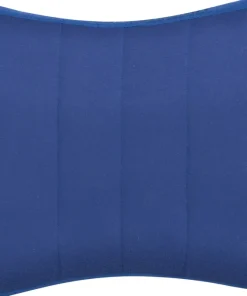 Aeros Premium Lumbar Support