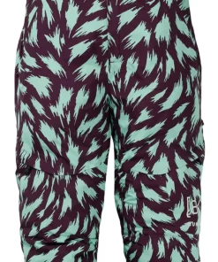 [Ak] Gore-Tex 2L Kimmy Bib Pant - Women's