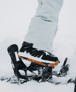 AK Summit GTX Pant - Women's