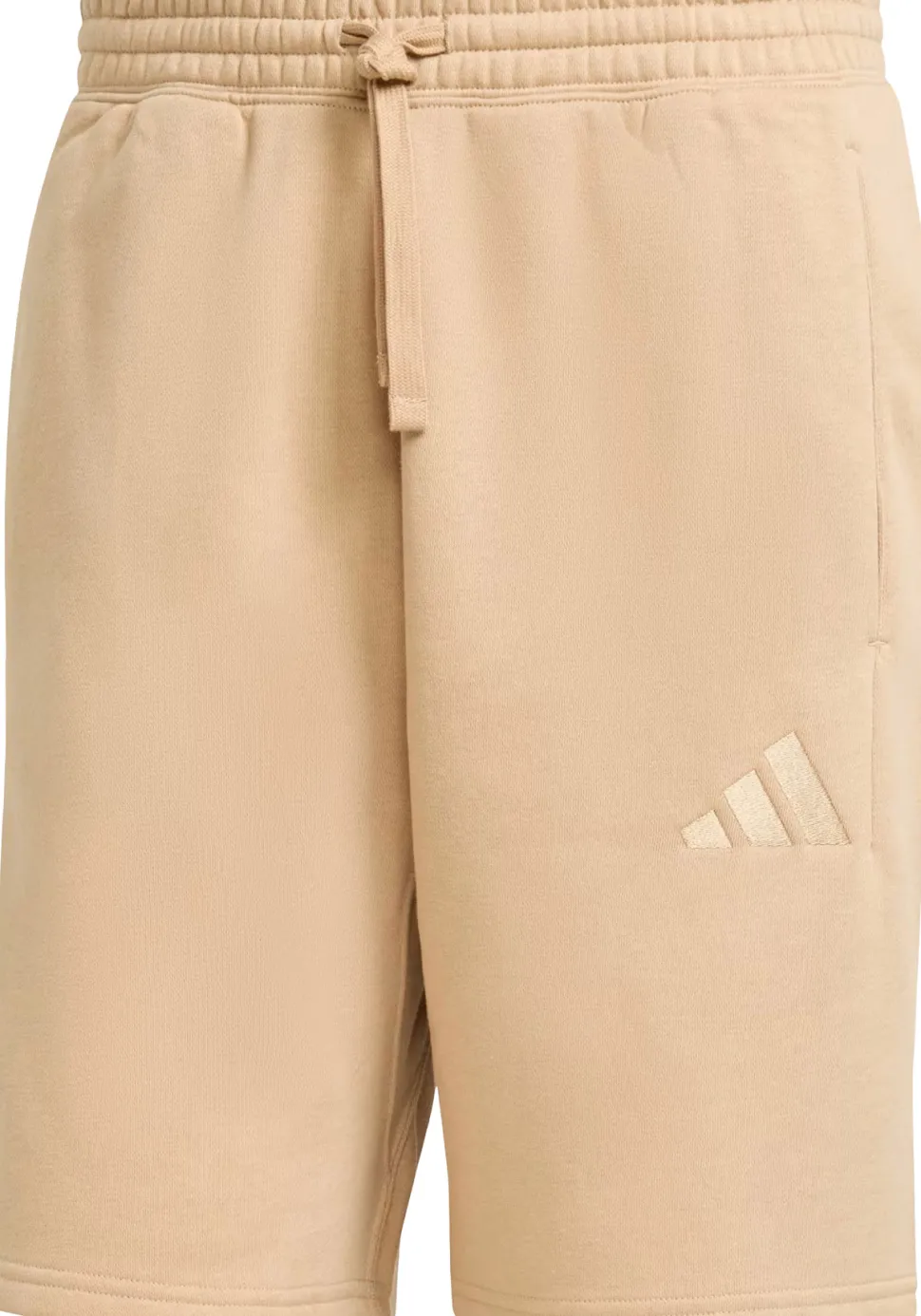 ALL SZN Fleece Shorts - Men's