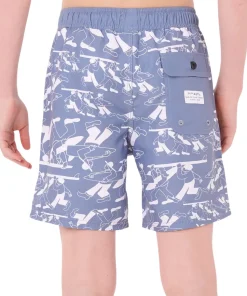 Artist Of the Search Ty Williams Volley Boardshorts - Boys