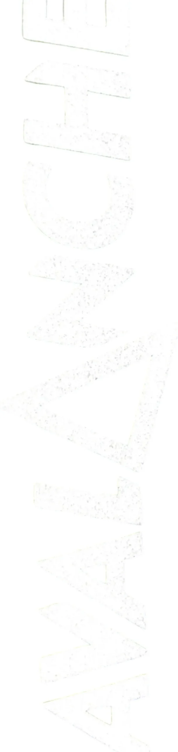 Cargo Tights - Women's
