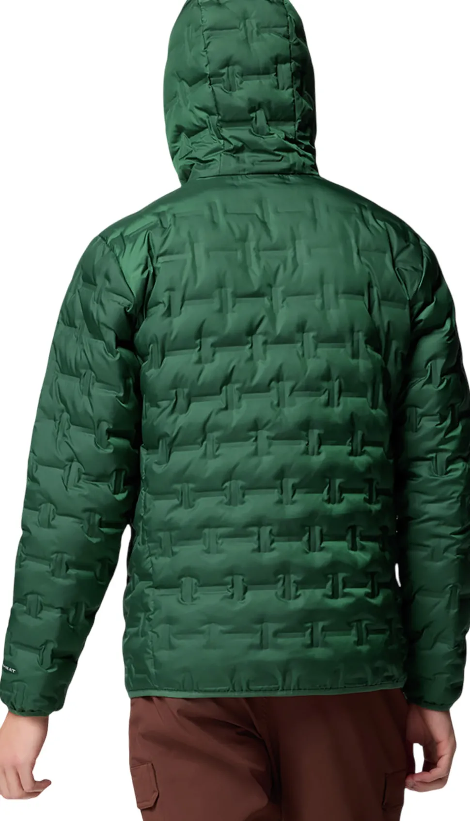 Delta Ridge II Down Hooded Jacket - Men's
