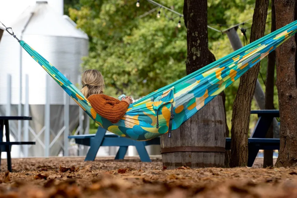 DoubleNest Print Hammock