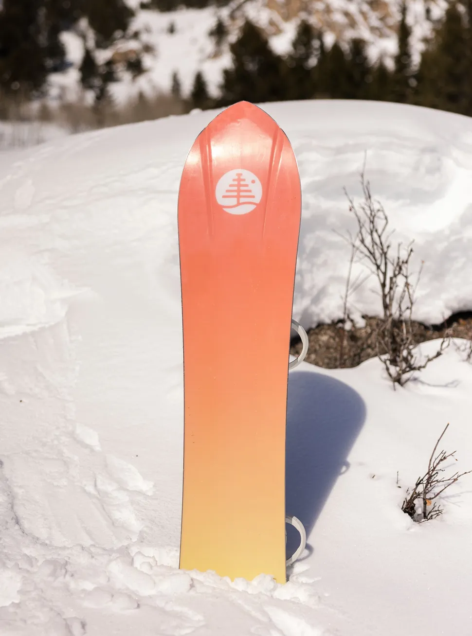 Family Tree 3D Deep Daze Rocker Snowboard - Unisex