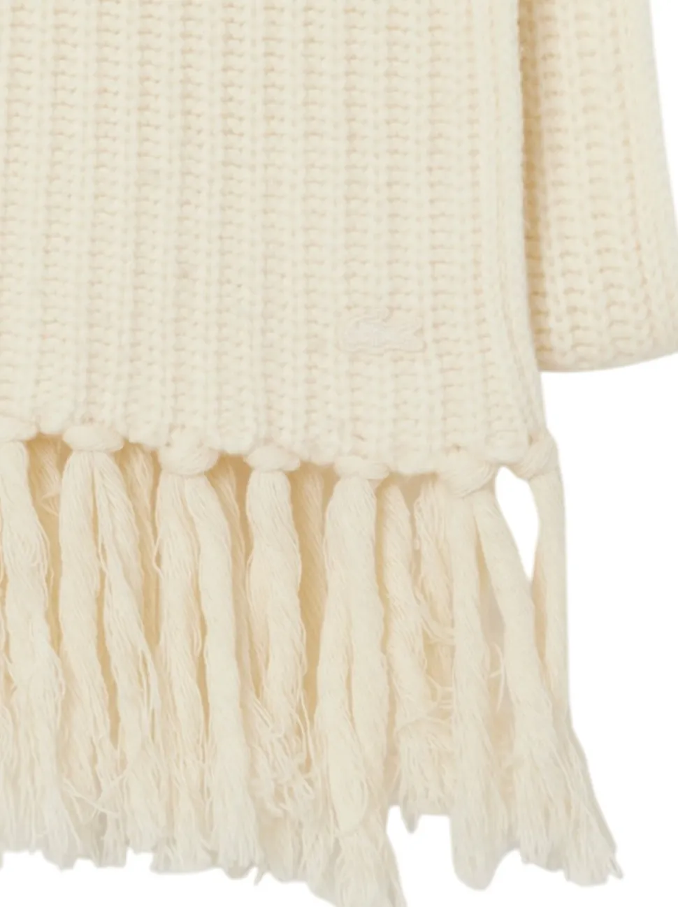 Fringed Wool Scarf - Women's