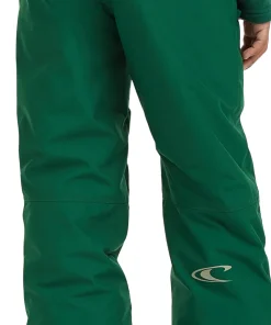 FWC'Cruz Snow Pant - Boys