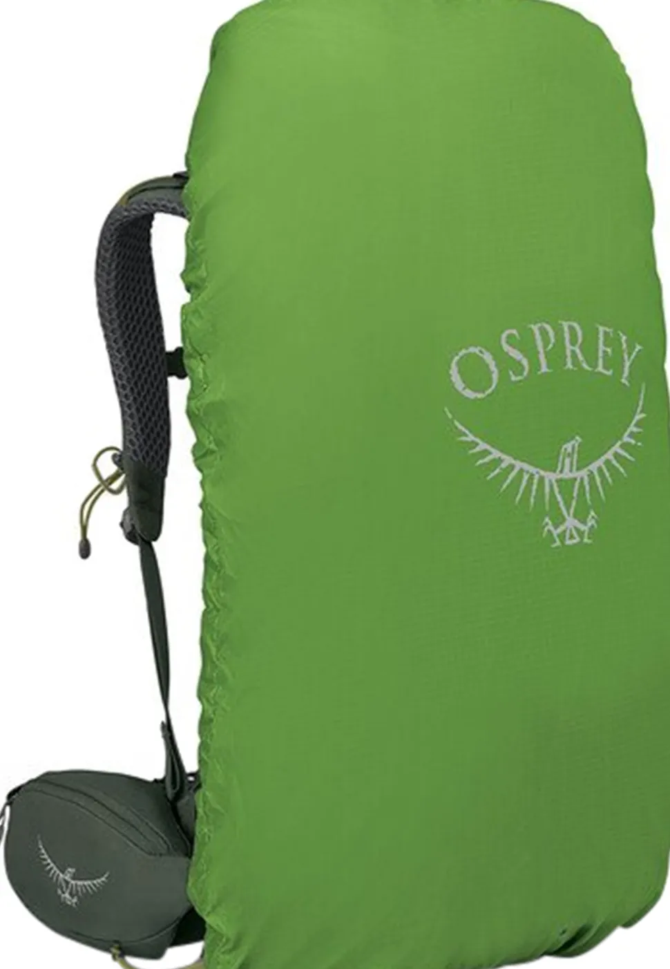 Kestrel Backpacking Pack 38L - Men's