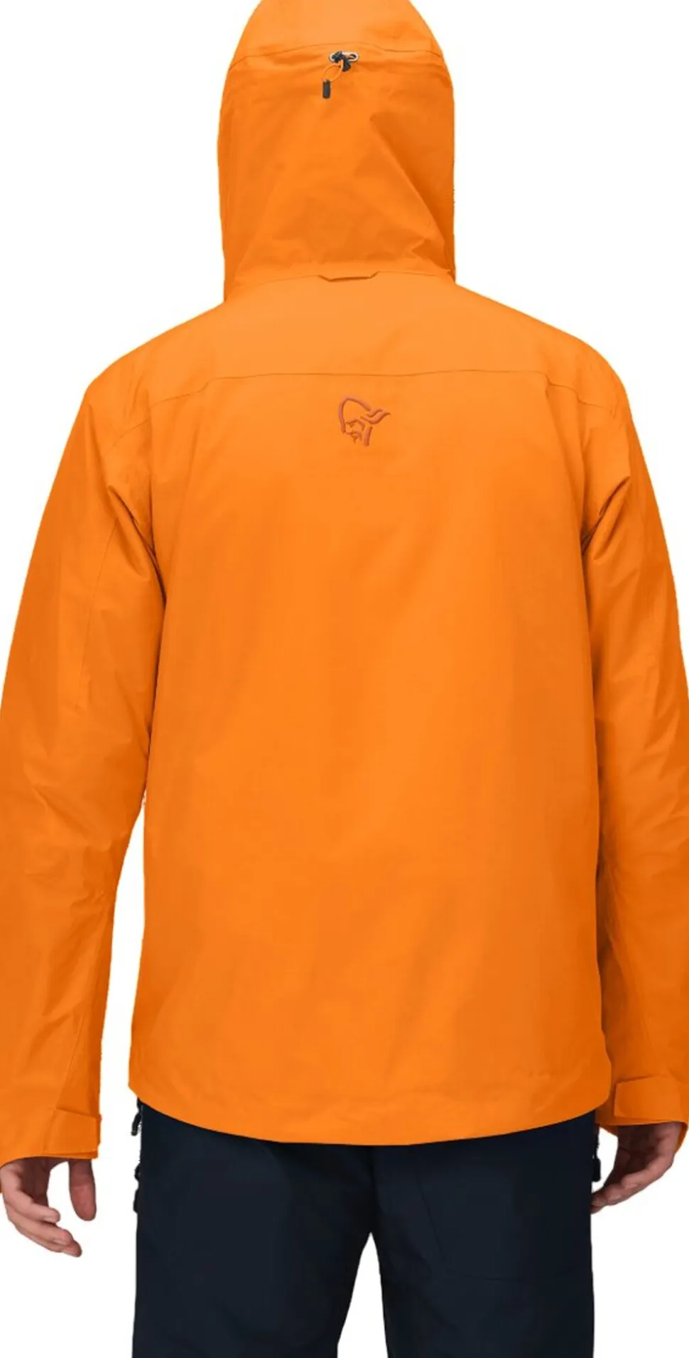 Lofoten GORE-TEX Insulated Jacket - Men's