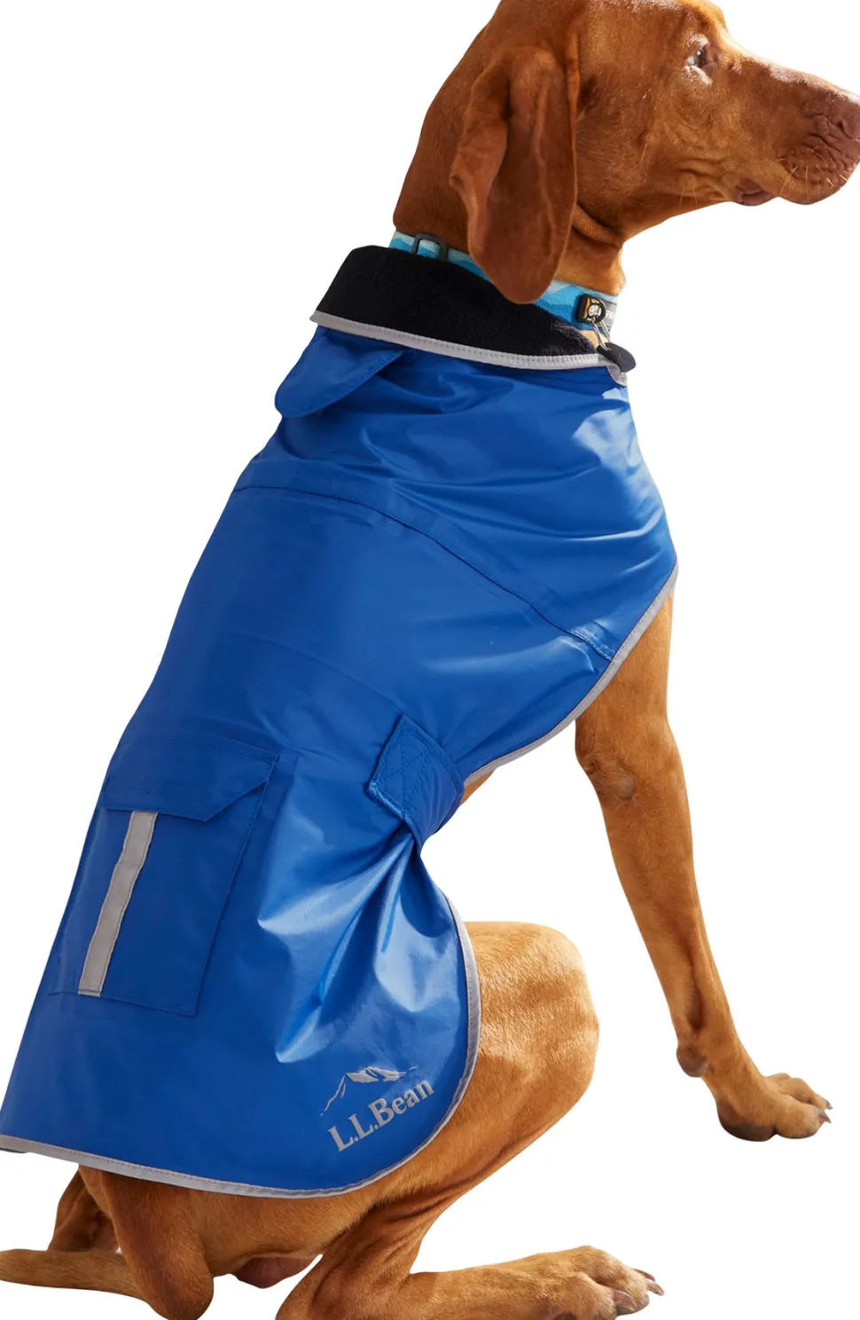 Trail Rain Jacket For Dogs