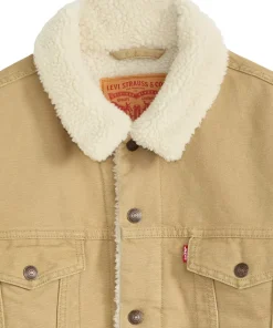 Type III Sherpa Trucker Jacket - Men's